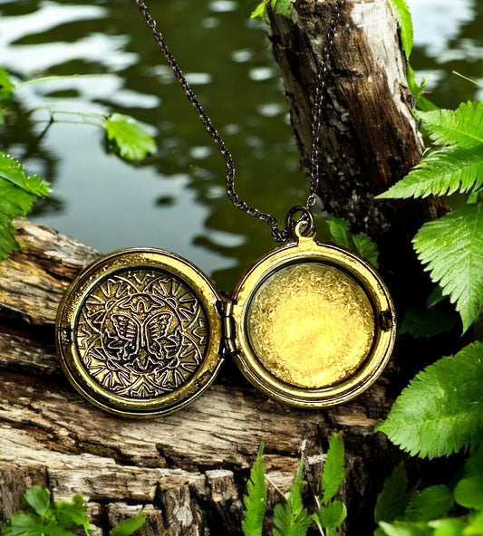 Butterfly Secrets Locket   #123 image 1
