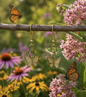Golden Butterfly Earrings